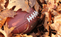 When will abusive coaches finally be kicked out of sports? When will abusive coaches finally be kicked out of sports?