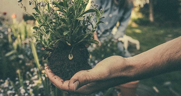 The ecological upside to job automation The ecological upside to job automation