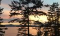 On wings and dorsal fins: how fall arrives on the West Coast On wings and dorsal fins: how fall arrives on the West Coast