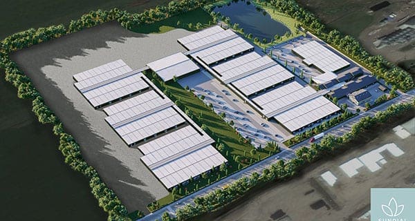 Sundial’s cannabis cultivating plant in Olds receives licence Sundial’s cannabis cultivating plant in Olds receives licence