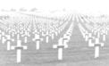‘Countless white crosses’ a century later ‘Countless white crosses’ a century later