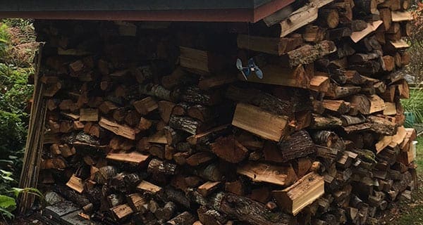 wood We’ll be warm for the winter, thanks to the Wood Camp boys