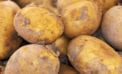 potato Alberta vies with P.E.I. to be potato capital of Canada