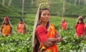 Closing the gap on global inequality by every measure Closing the gap on global inequality by every measure