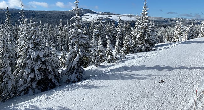 cross country ski trails