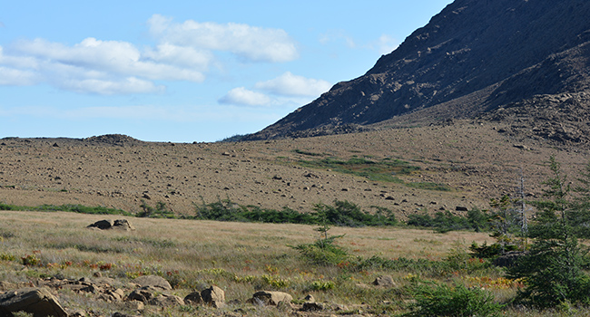 Gros Morne Tablelands nature outdoors Canadian north