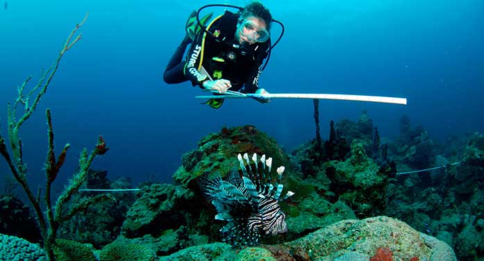Stephanie Green lionfish diving sea ocean swim ecology