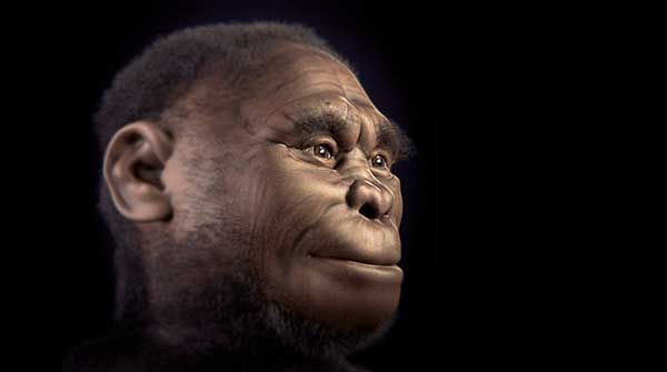 Homo-floresiensis-Hobbit