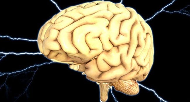 Brain scan studies shed light on ADHD