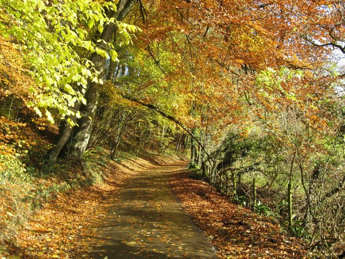 The financial road less travelled still offers a trustworthy route The financial road less travelled still offers a trustworthy route