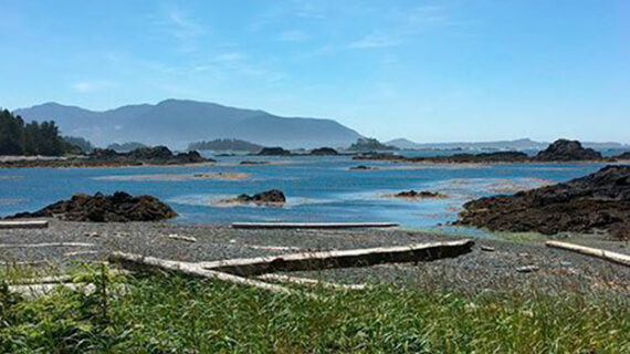 Exploring the islands of B.C.’s Nuchatlitz lagoon Exploring the islands of B.C.’s Nuchatlitz lagoon