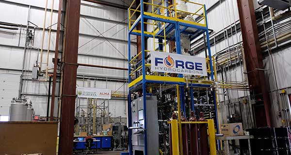 Forging new sources for biofuels and hydrocarbon-based products Forging new sources for biofuels and hydrocarbon-based products