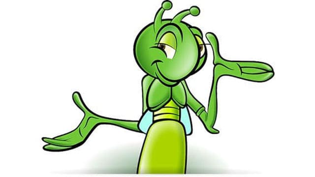 Jiminy Crickets! The truth about bugs as food Jiminy Crickets! The truth about bugs as food