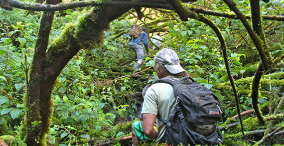 Off the beaten track in Hawaii Off the beaten track in Hawaii