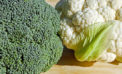 Ontario’s billion-dollar plans to reduce plant food Ontario’s billion-dollar plans to reduce plant food