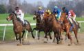Gambling and pro sports: a marriage made in heaven Gambling and pro sports: a marriage made in heaven