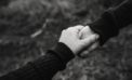 Companions for life: trust and integrity Companions for life: trust and integrity