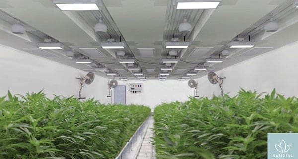 Sundial Growers expanding its Olds cannabis cultivation facility Sundial Growers expanding its Olds cannabis cultivation facility