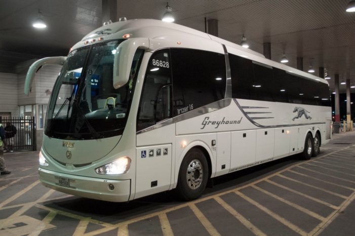Greyhound lacked the vision and adaptability to survive Greyhound lacked the vision and adaptability to survive