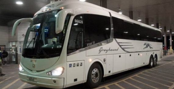 Greyhound lacked the vision and adaptability to survive Greyhound lacked the vision and adaptability to survive