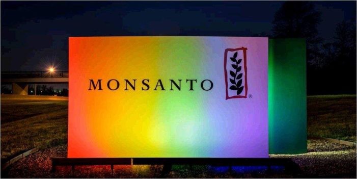 Monsanto lawsuit ruling leaves Bayer in need of more Aspirin Monsanto lawsuit ruling leaves Bayer in need of more Aspirin
