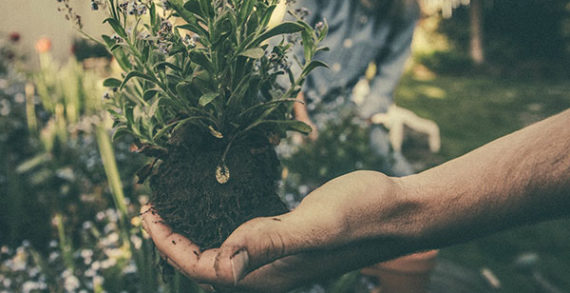 The ecological upside to job automation The ecological upside to job automation
