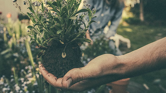 The ecological upside to job automation The ecological upside to job automation