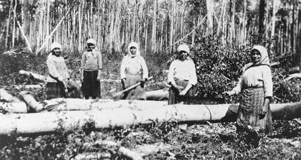 Canada’s identity forged by struggle that created shared values Canada’s identity forged by struggle that created shared values