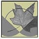 Canadian Centre for Policy Alternatives