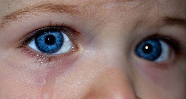 Put an end to the use of seclusion rooms for children Put an end to the use of seclusion rooms for children