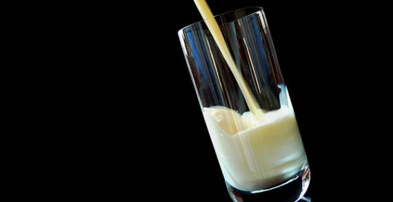 Raise a glass of milk to Donald Trump Raise a glass of milk to Donald Trump