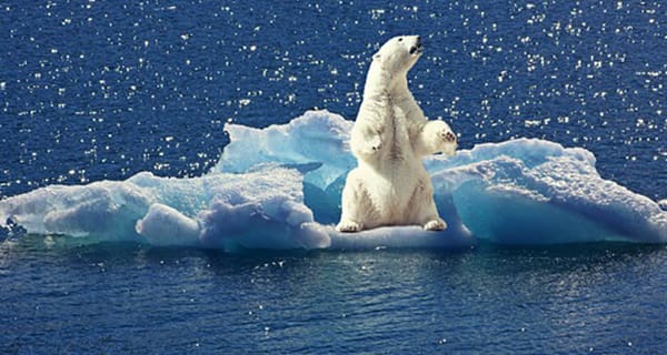 The clear and present danger of climate change The clear and present danger of climate change
