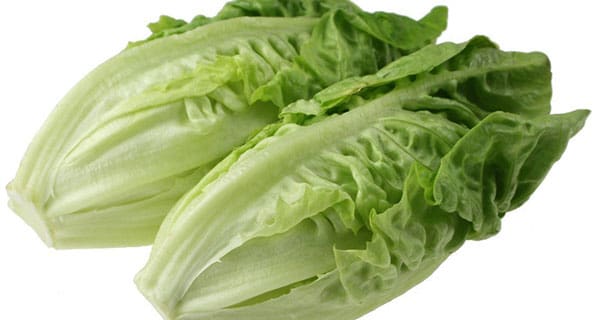 Romaine calm returns but produce safety not guaranteed