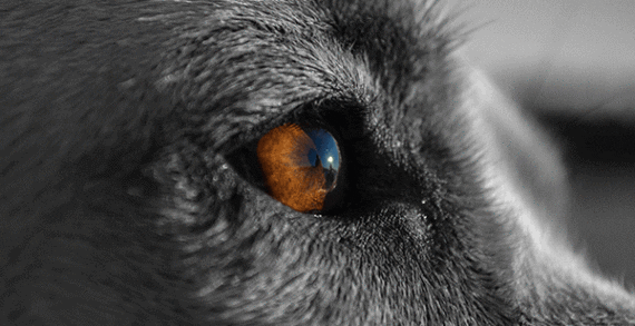 The fundamental flaw in coaching by instinct The fundamental flaw in coaching by instinct