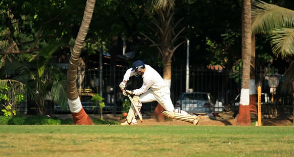 What Happened in Last Year’s IPL? What Happened in Last Year’s IPL?