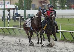 Long considered among the most dangerous jobs in horse racing, outrider Cindy Barroby catches a loose horse prior to a race at Hastings Racecourse in Vancouver.