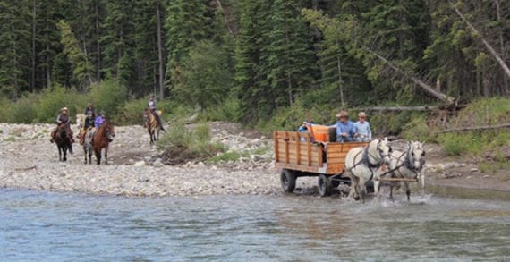 Alberta foothills Discover Alberta’s foothills, tourism association beckons