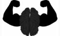 Our brains condition our body language Our brains condition our body language