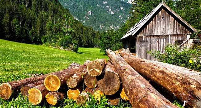 Banning log exports would harm B.C. economy