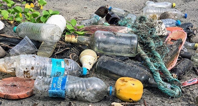 Why have we become a nation of litterbugs? Why have we become a nation of litterbugs?