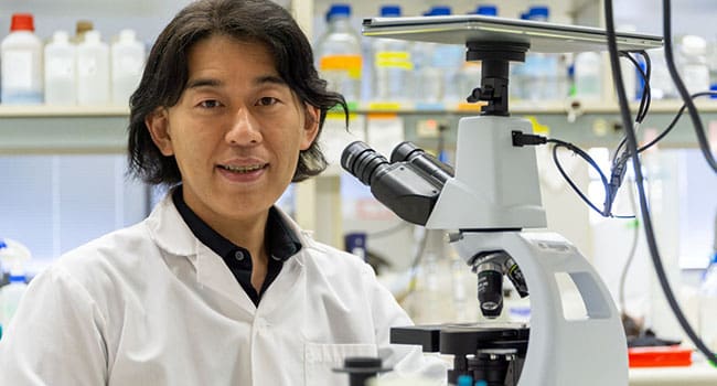 muscular dystrophy science Muscular dystrophy treatment shows promise in cells, animals