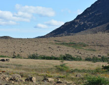 Sailing ever northward in search of wildlife, culture and history