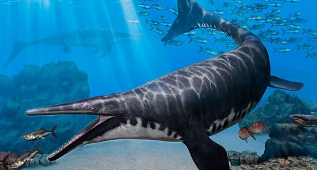 Artist's rendering of Gavialimimus almaghribensis, a newly discovered species of mosasaur that ruled the seas of what is now Morocco some 72 to 66 million years ago. (Illustration: Tatsuya Shinmura)