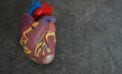 Researchers pinpoint genetic defects that cause heart failure