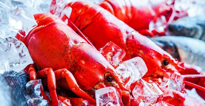 lobster fishing ice History shows a path to resolve lobster fisheries dispute