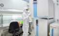 cell therapy Biomanufacturing partnership boosts Canada’s vaccine capacity