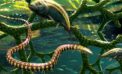 Artist’s reconstruction of Tetrapodophis amplectus paleontology Fossil thought to be missing link between lizards, snakes debunked