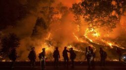 Eight worst wildfire weather years on record happened in the last decade