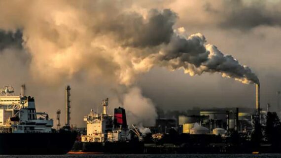 How much, how fast: Research sheds new light on carbon storage