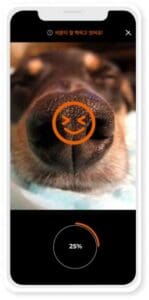 Εφαρμογή Petnow Dog Nose Print